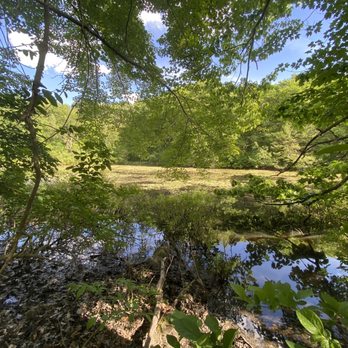 Whipple Hill - pond - Mountain Biking Near Me - Lexington, Massachusetts Whipple Hill - pond - Mountain Biking Near Me - Lexington, Massachusetts