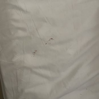 Parker-Kaufman Realtors - Parker-Kaufman -- condo rental had stains on sheets and towels - Property Management Near Me - Brunswick, Georgia Parker-Kaufman Realtors - Parker-Kaufman -- condo rental had stains on sheets and towels - Property Management Near Me - Brunswick, Georgia