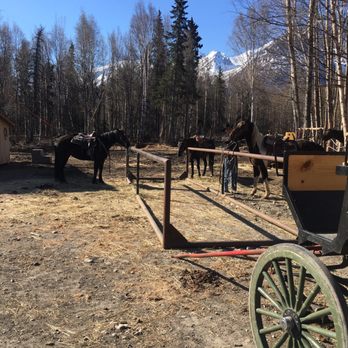 Alaska Horse Adventures - Horseback Riding Near Me - Palmer, Alaska