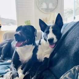 My boys