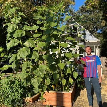 Grant's Plants - Gardeners Near Me Grant's Plants - Gardeners Near Me