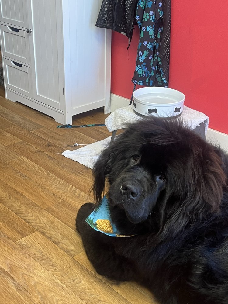 o Jupiter Florida Real Estate For Sale