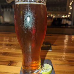 BuckleDown Brewing - Dia de Los pantalones