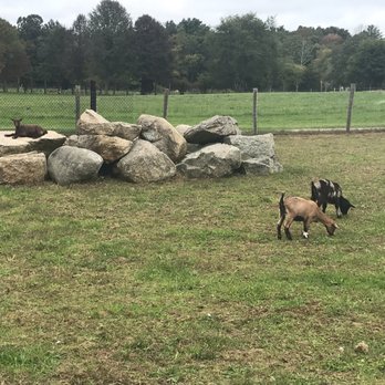 The Silverbrook Farm - Attraction Farms Near Me - Acushnet, Massachusetts