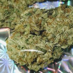Big Bear Dispensary