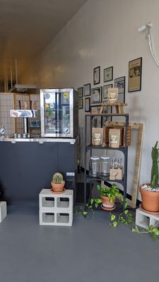 Fine Feathers Kombucha Company by null