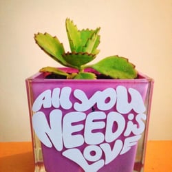 La Maceta de Don Luis - Pueden personalizar con la frase o diseño que gustes tus macetas,excelentes para regalo o decoración.