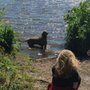 Photo of Earlswood Lakes