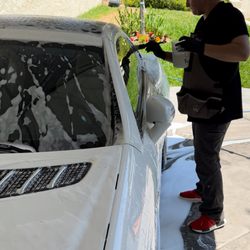 Tidy Pro Auto Solutions