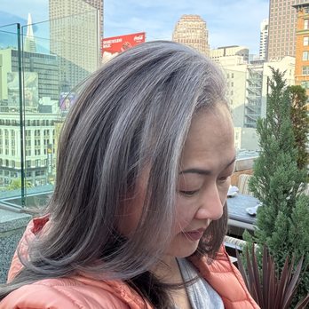 The Color Design Salon - After - beautifully blended silver highlights with lots of dimension - Hair Salons Near Me - San Francisco, California The Color Design Salon - After - beautifully blended silver highlights with lots of dimension - Hair Salons Near Me - San Francisco, California