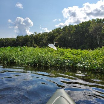 Katie's Landing State Park - Beautiful Natural environment - Parks Near Me - Sanford, Florida Katie's Landing State Park - Beautiful Natural environment - Parks Near Me - Sanford, Florida