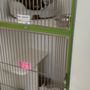Photo of PetSuites Waterford Lakes