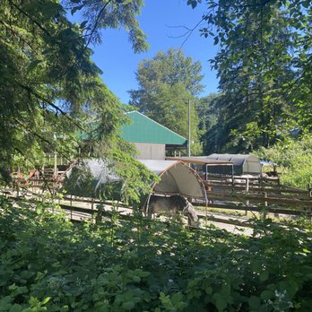 North Shore Equestrian Center - Horseback Riding Near Me - North Vancouver, British Columbia North Shore Equestrian Center - Horseback Riding Near Me - North Vancouver, British Columbia