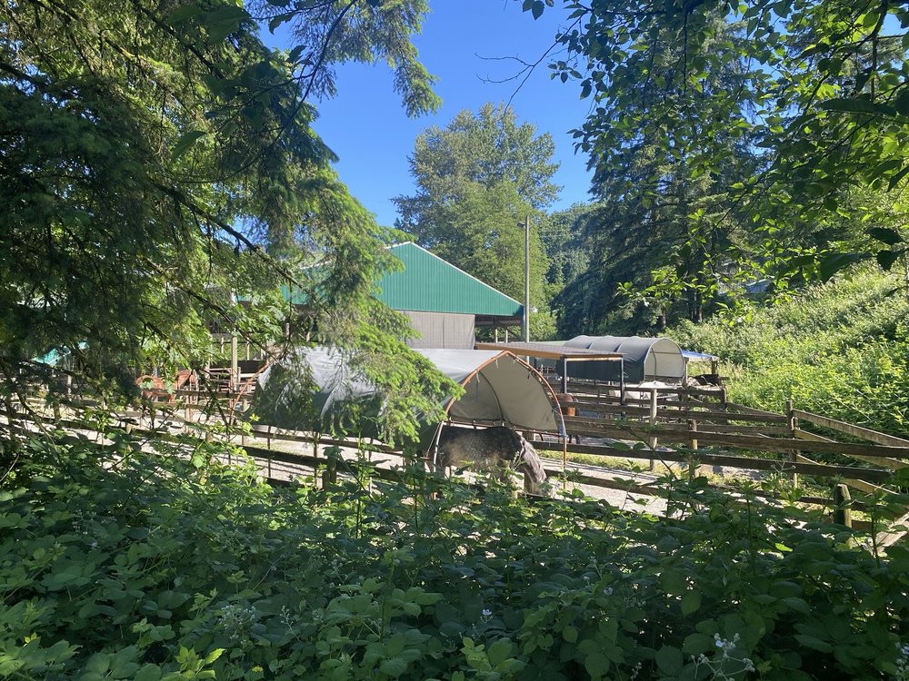 North Shore Equestrian Center Logo