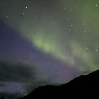 Wild Alaska Travel - Tours Near Me - Anchorage, Alaska Wild Alaska Travel - Tours Near Me - Anchorage, Alaska