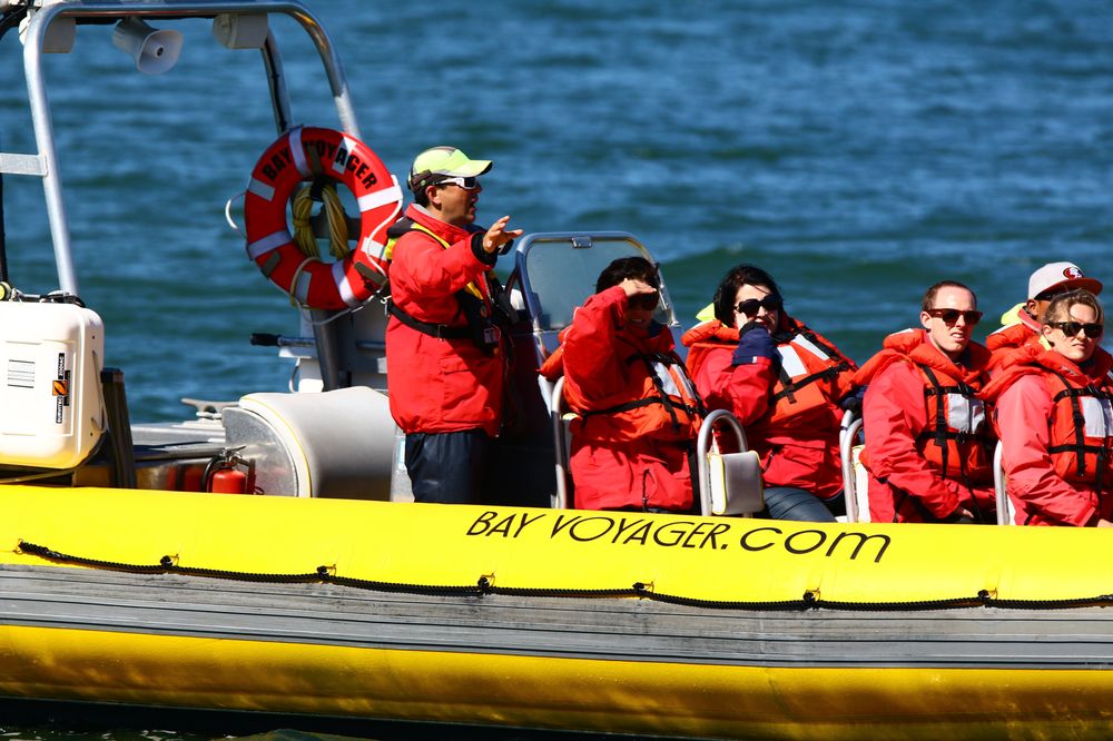 Bay Voyager