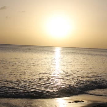 Tan TanTours - Sunset - Tours Near Me Tan TanTours - Sunset - Tours Near Me