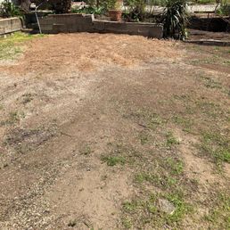 This is the after pic, it's like a tree was never there. Awesome job. This is the after pic, it's like a tree was never there. Awesome job.