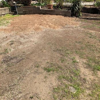 Valley Tree Care - This is the after pic, it's like a tree was never there. Awesome job. - Tree Services Near Me Valley Tree Care - This is the after pic, it's like a tree was never there. Awesome job. - Tree Services Near Me