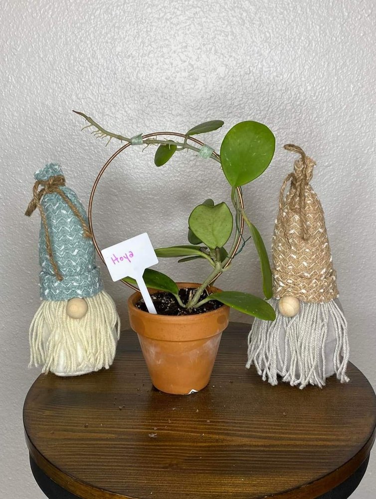 SEXY VINES & VINTAGE BOUTIQUE Updated August 2024 11 Photos 2920 Grand Ave, Fort Smith