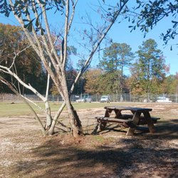 Dog Park - Proof there is one picnic table