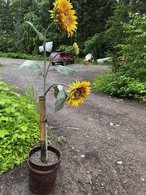 Sunflower Cafe & BBQ by null