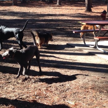 Daffin Park - Dog Parks Near Me - Savannah, Georgia