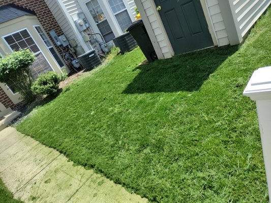 Schedule Your Evaluation Today! Beat or Match Pricing - Nick & Sons is here to handle all of your landscaping needs! We offer free evaluations and estimates on all work prior. We do offer virtual consultations. We do offer Beat or Match Pricing. You are required to have a legitimate quote from another competitor within the last 30 days. Call and book your appointment today! Schedule Your Evaluation Today! Beat or Match Pricing - Nick & Sons is here to handle all of your landscaping needs! We offer free evaluations and estimates on all work prior. We do offer virtual consultations. We do offer Beat or Match Pricing. You are required to have a legitimate quote from another competitor within the last 30 days. Call and book your appointment today!