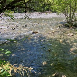 Lynn Headwaters Regional Park - June 2025.