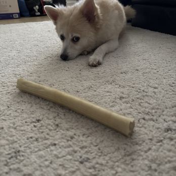 Pet Food Express - Mika loves this from the store it's buy 3 get 1 free - Pet Stores Near Me - Pasadena, California Pet Food Express - Mika loves this from the store it's buy 3 get 1 free - Pet Stores Near Me - Pasadena, California
