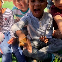 Kidz Campus Preschool & Childcare