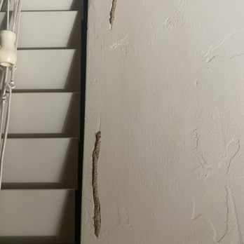 Avilla Marana I and II - TERMITES IN MASTER BEDROOM - Apartments Near Me - Tucson, Arizona Avilla Marana I and II - TERMITES IN MASTER BEDROOM - Apartments Near Me - Tucson, Arizona