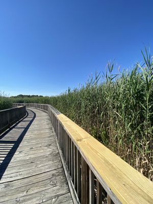 Audubon Society of Rhode Island Nature Center and Aquarium by null