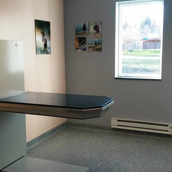 A Step Up Veterinary Clinic - Veterinarians Near Me - Bethel Park, Pennsylvania A Step Up Veterinary Clinic - Veterinarians Near Me - Bethel Park, Pennsylvania