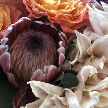 Cactus Flower Florists - Florists Near Me - Carefree, Arizona Cactus Flower Florists - Florists Near Me - Carefree, Arizona