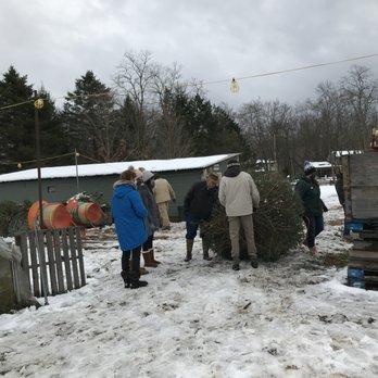 Swan Farm - a group of people loading a christmas tree - Christmas Trees Near Me - Valley View, Ohio