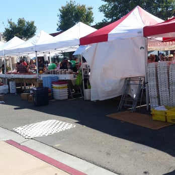 San Leandro Cherry Festival - Festivals Near Me - San Leandro, California