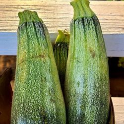 Farmer Gene's Market - Zucchini