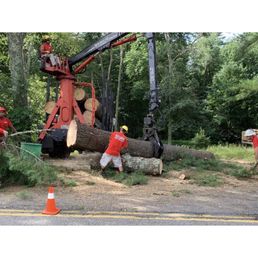 Expertly handled the large pieces of pine tree cut down, and loaded to be taken off the property.