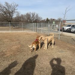 Ruby Grant Dog Park