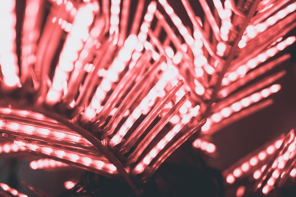 Karlovy Lazne - Nightclub by null