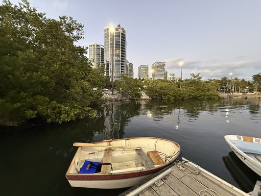 Coconut Grove by null