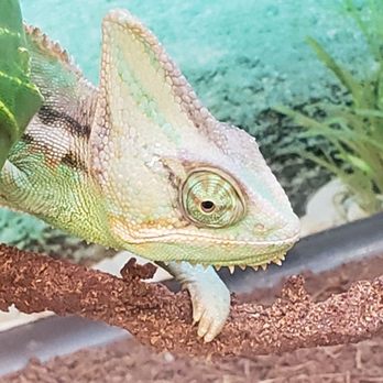 Petco - Pet Stores Near Me - Columbia, Maryland
