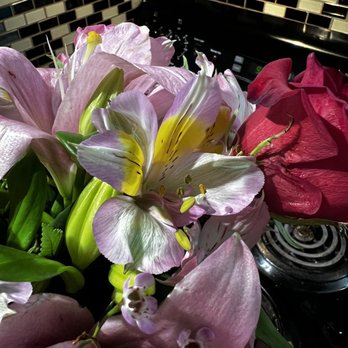 North Star Florist - The red rose looked like that all black and dying and the rest of them are just old - Florists Near Me - Garland, Texas North Star Florist - The red rose looked like that all black and dying and the rest of them are just old - Florists Near Me - Garland, Texas