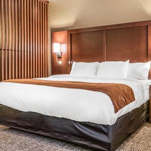 Comfort Suites Florence Cincinnati South 22 Photos Hotels