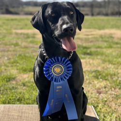 Red River Kennels