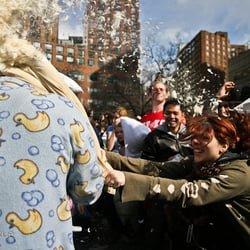 Native Creative Concierge - NYC Pillow Fight