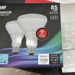 Duke's Hardware - Feit Electric ~ enhance vivid natural light ~ 85 watt ~ brightness 1100 lumens {1/21/2025}