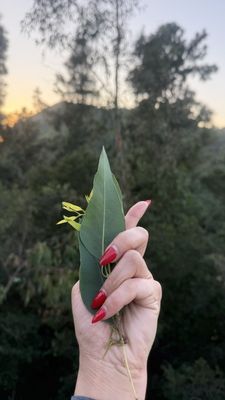 Hollywood Reservoir by null