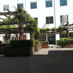 Università degli Studi